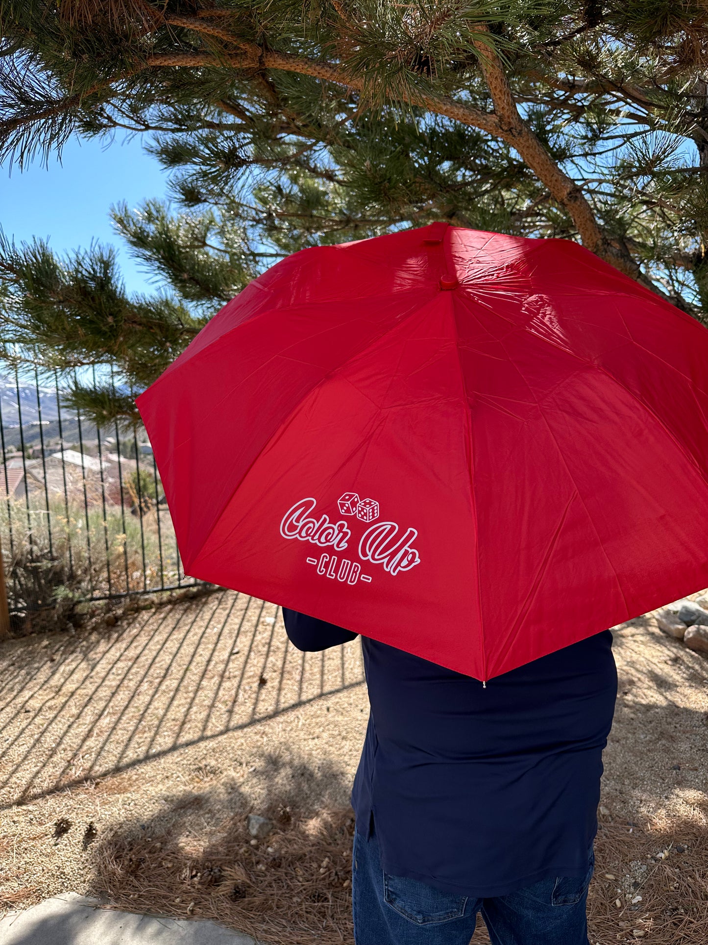 Color Up 42" Folding Umbrella with Auto Open